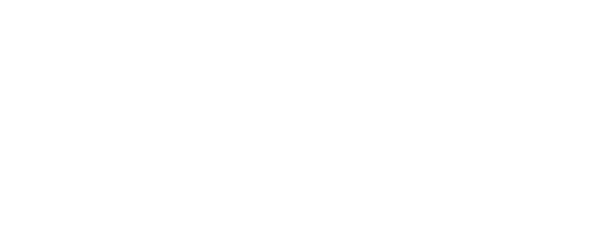 Success Sphere logo white